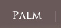 Palm
